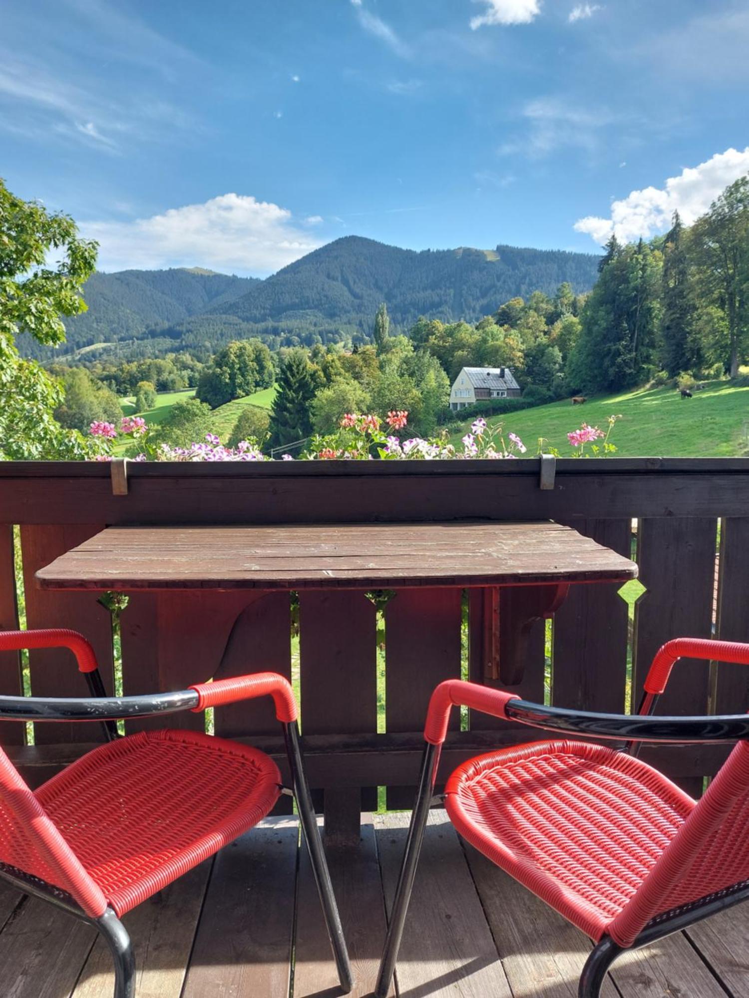 Landhaus Schoenblick Bad Kohlgrub Ngoại thất bức ảnh