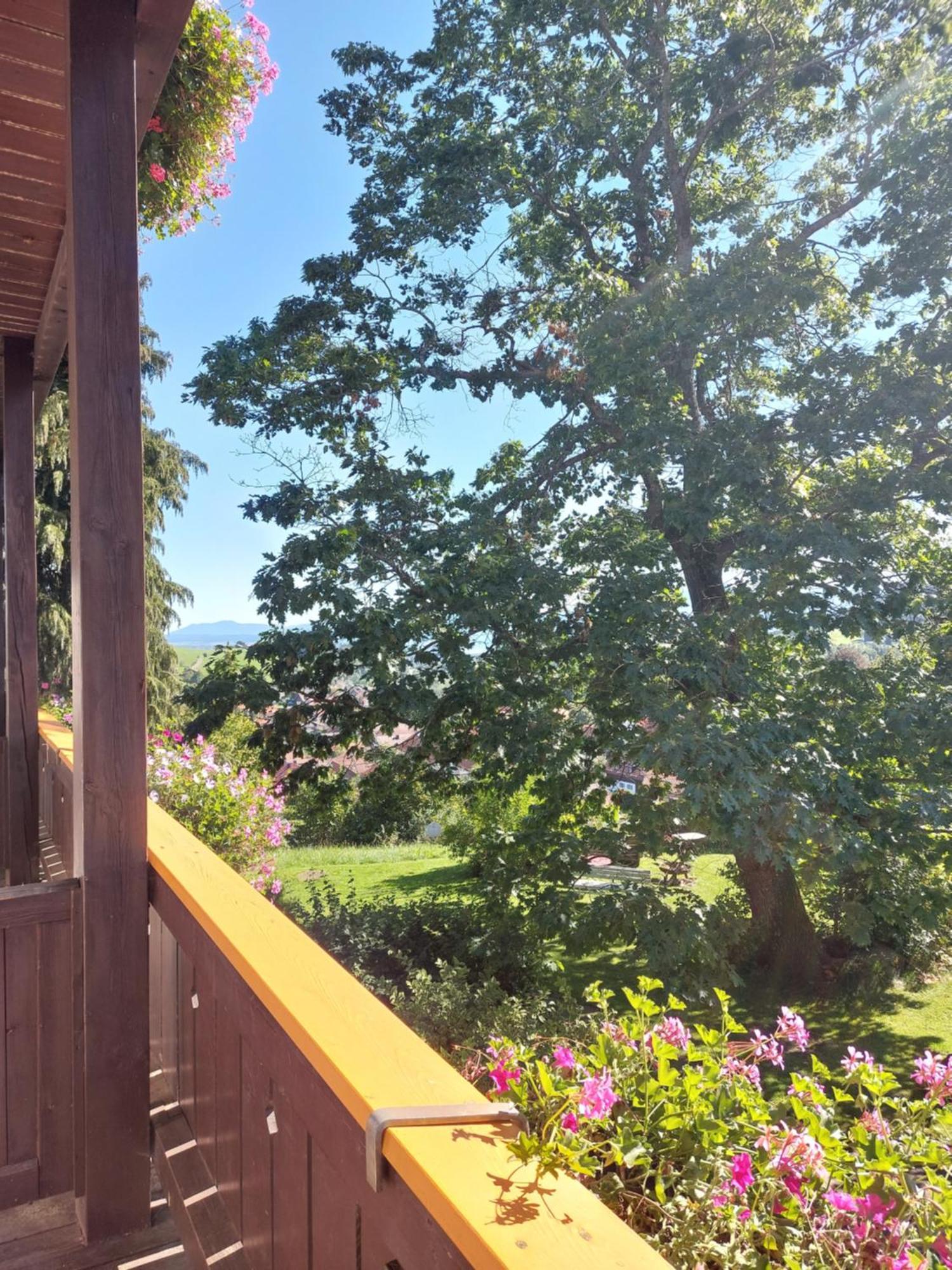 Landhaus Schoenblick Bad Kohlgrub Ngoại thất bức ảnh